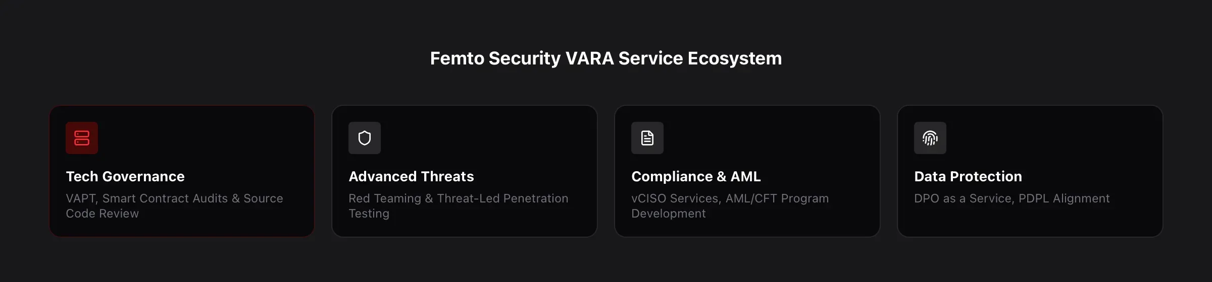 FemtoSec VARA Service Ecosystem