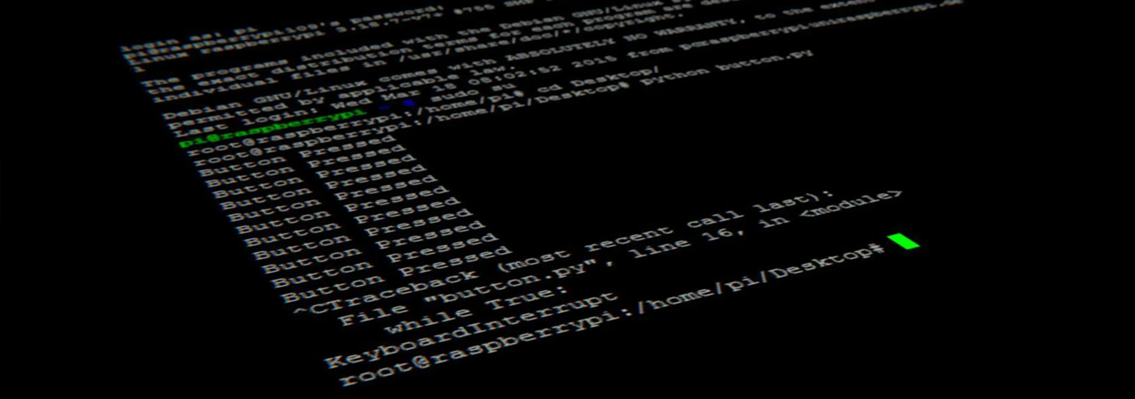 Vulnerability Assessments